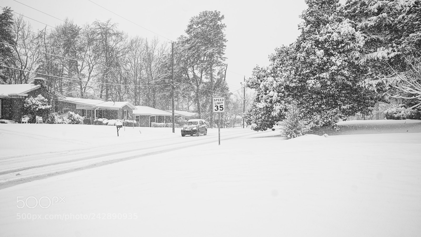 Sony a7 II sample photo. Dsc photography