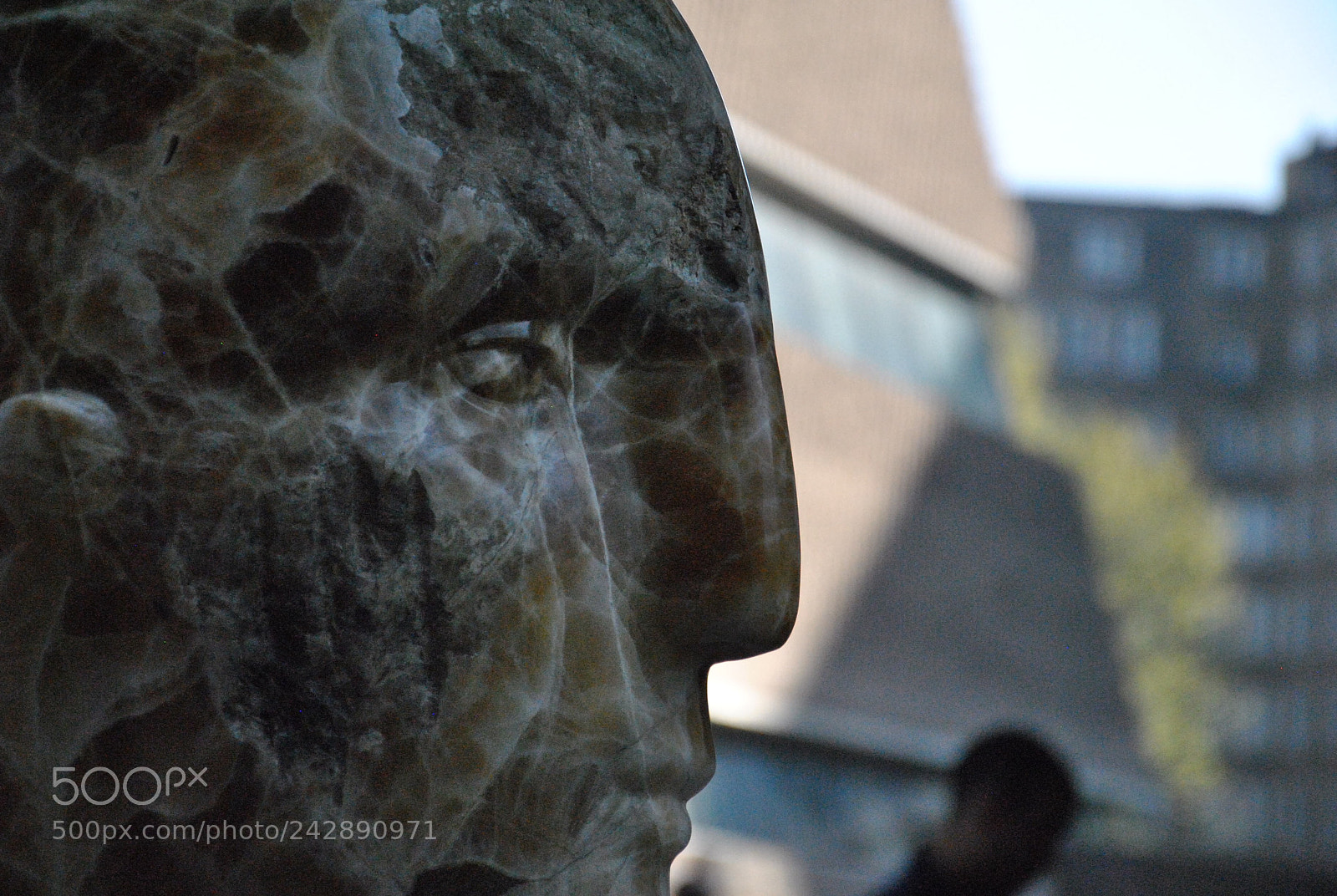Nikon D3000 sample photo. Slingshot diaries - unfiltered photography