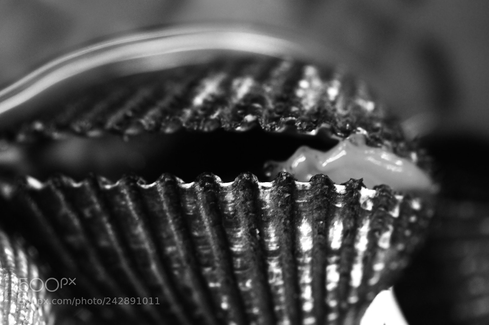 Nikon D300 sample photo. Untitled photography