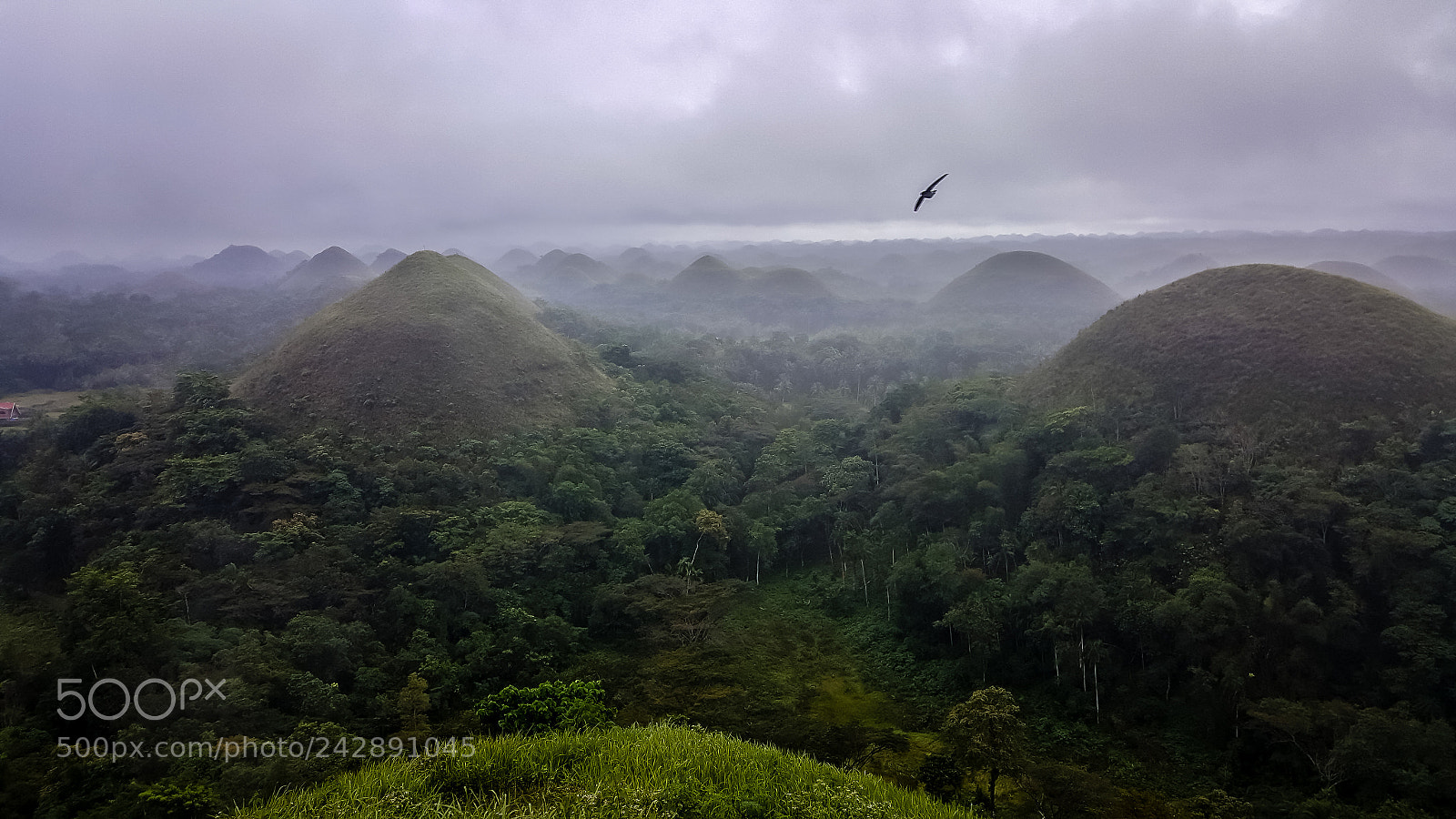 Samsung Galaxy S6 sample photo. Chocolate hills photography