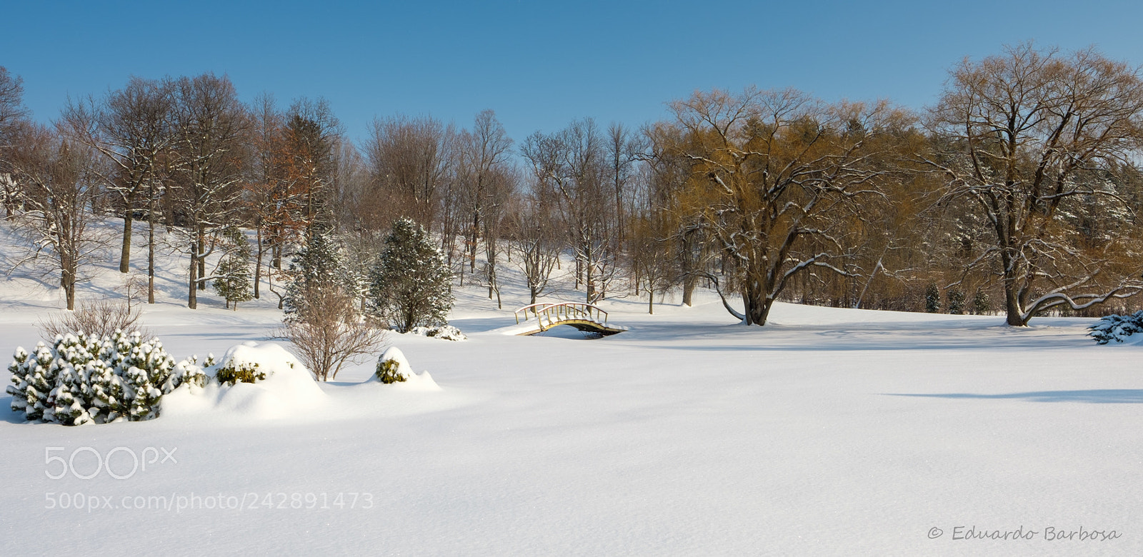 Fujifilm X-T2 sample photo. Snow blanket photography