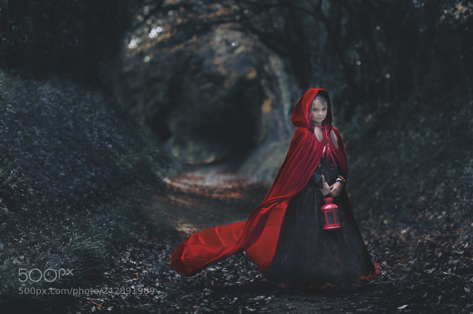 Nikon D700 sample photo. Edit edit photography