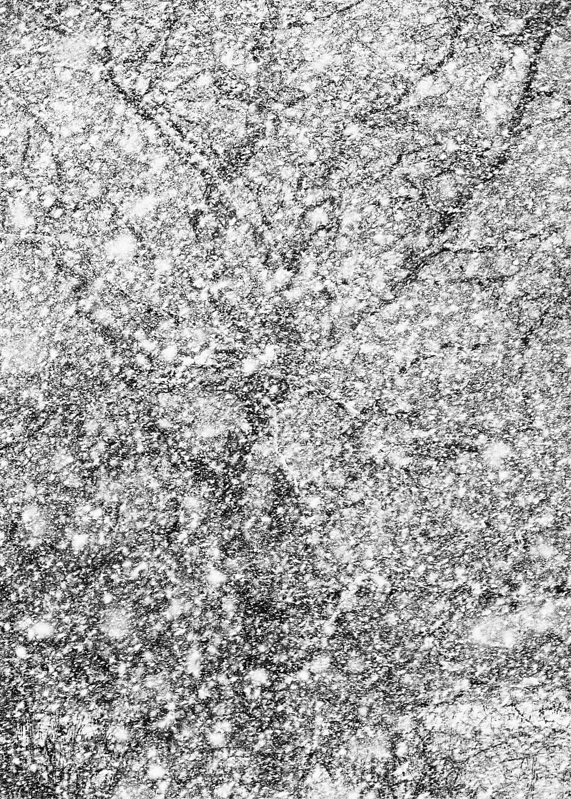 Nikon D7100 sample photo. Schneesturm photography