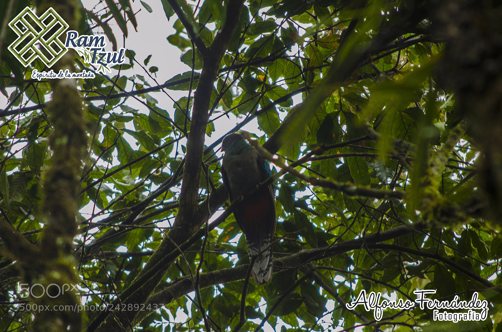 Nikon D5100 sample photo. Copia photography