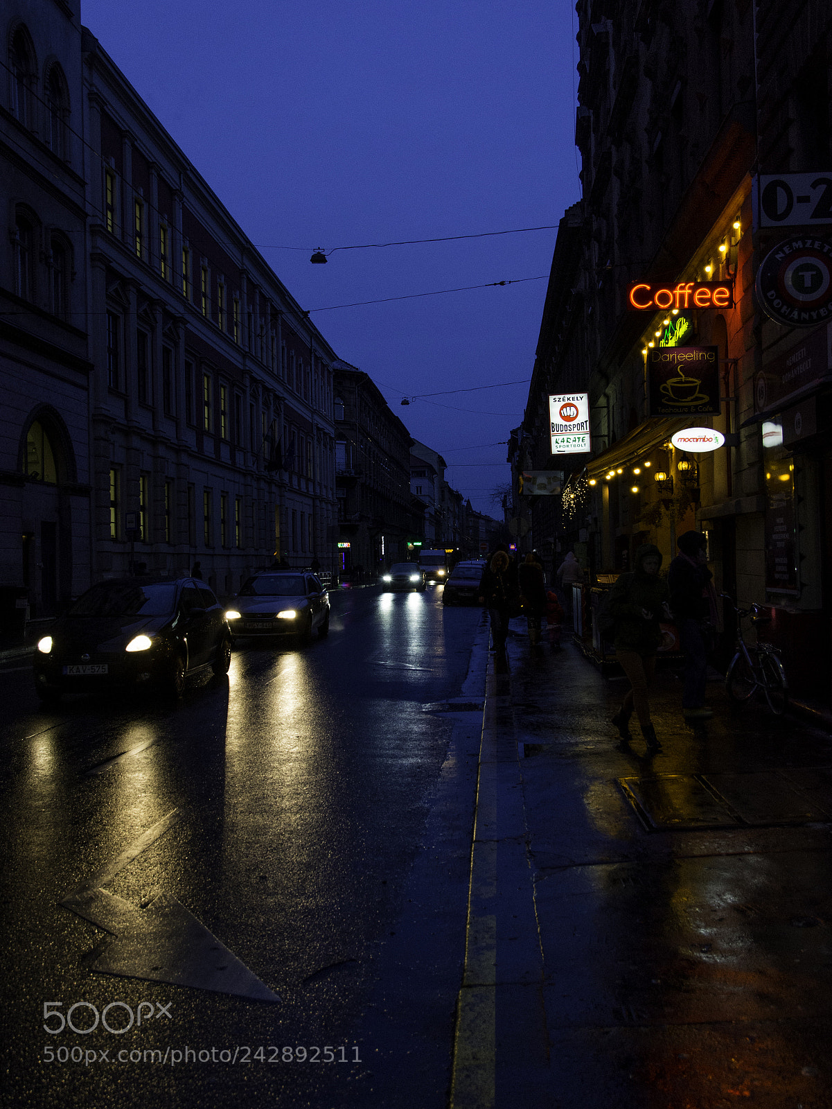 Nikon D7200 sample photo. Pest photography