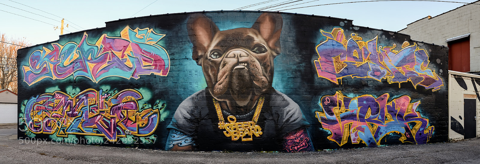 Fujifilm X100F sample photo. Mural pano photography