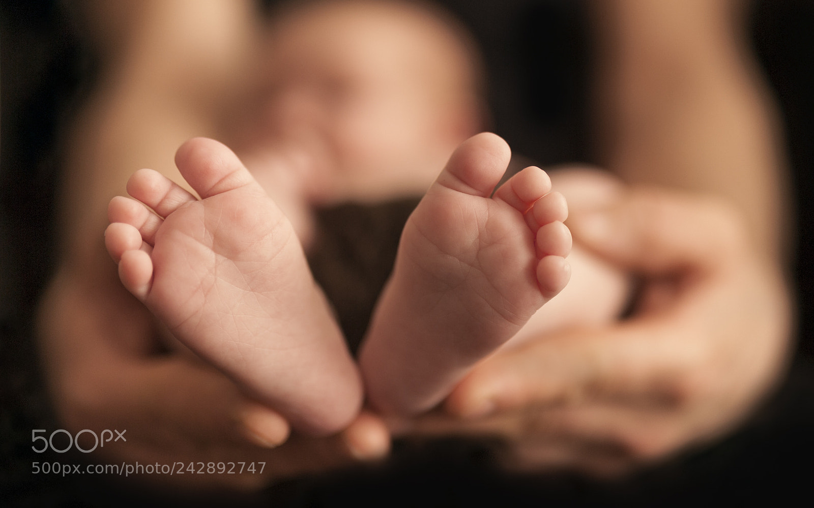 Nikon D700 sample photo. Edit photography