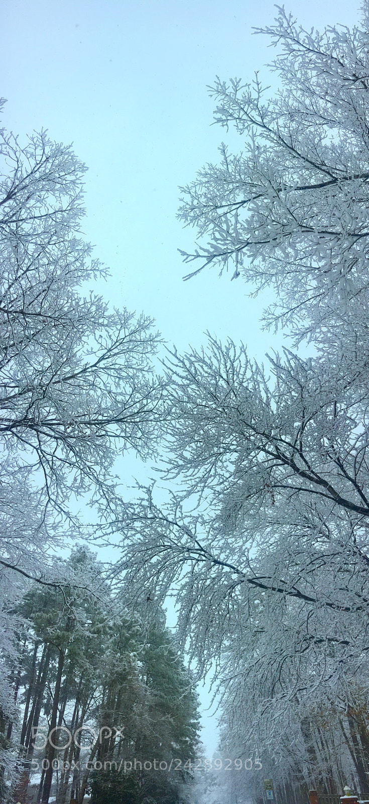 Apple iPhone 6s sample photo. Raleigh january 17, 2018 snowstorm #1 photography