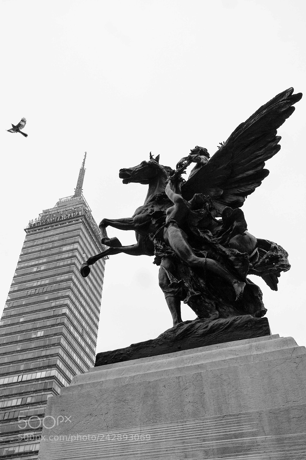 Fujifilm FinePix X100 sample photo. .... photography
