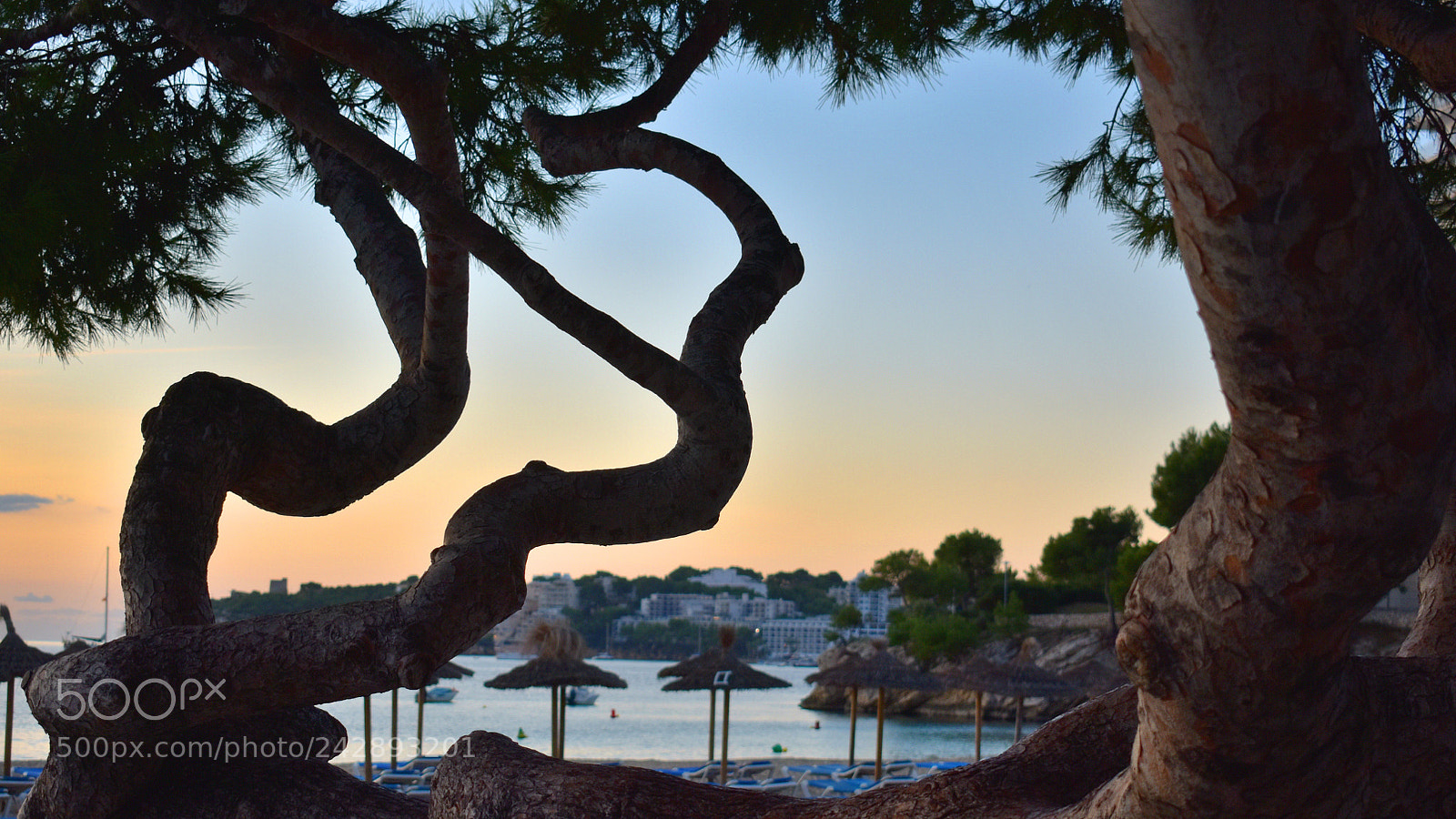 Nikon D3400 sample photo. Med vibes photography