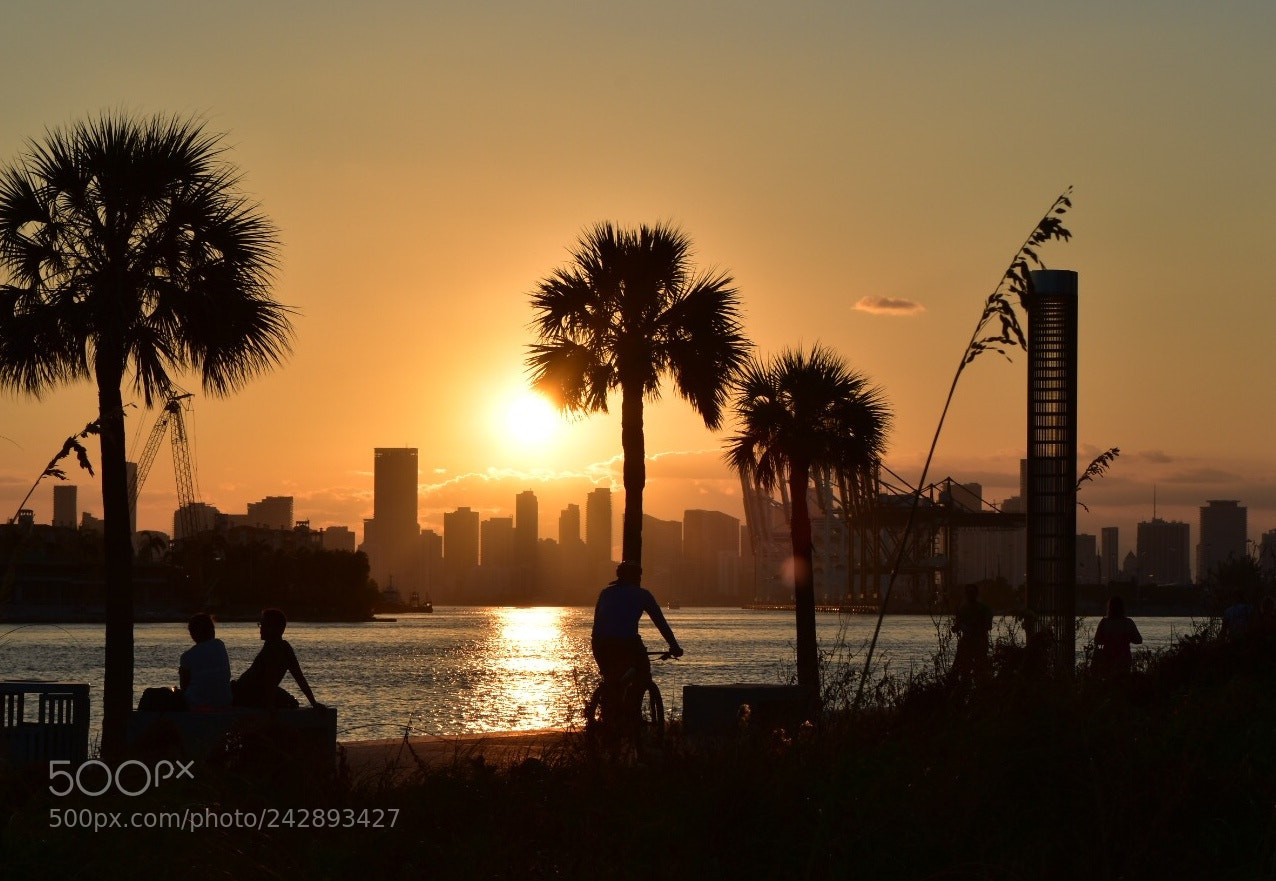 Nikon D5500 sample photo. Miami skyline photography