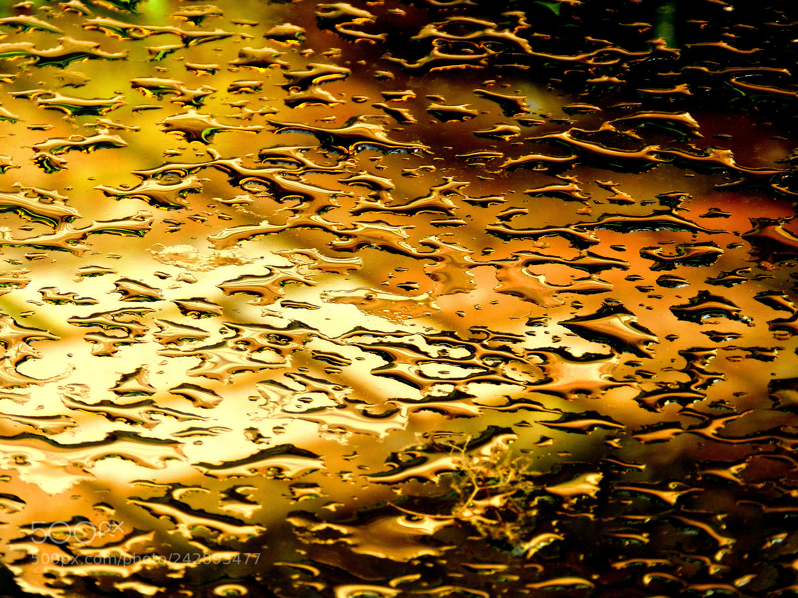 Nikon Coolpix P500 sample photo. Abstracts on wet glass 7 photography