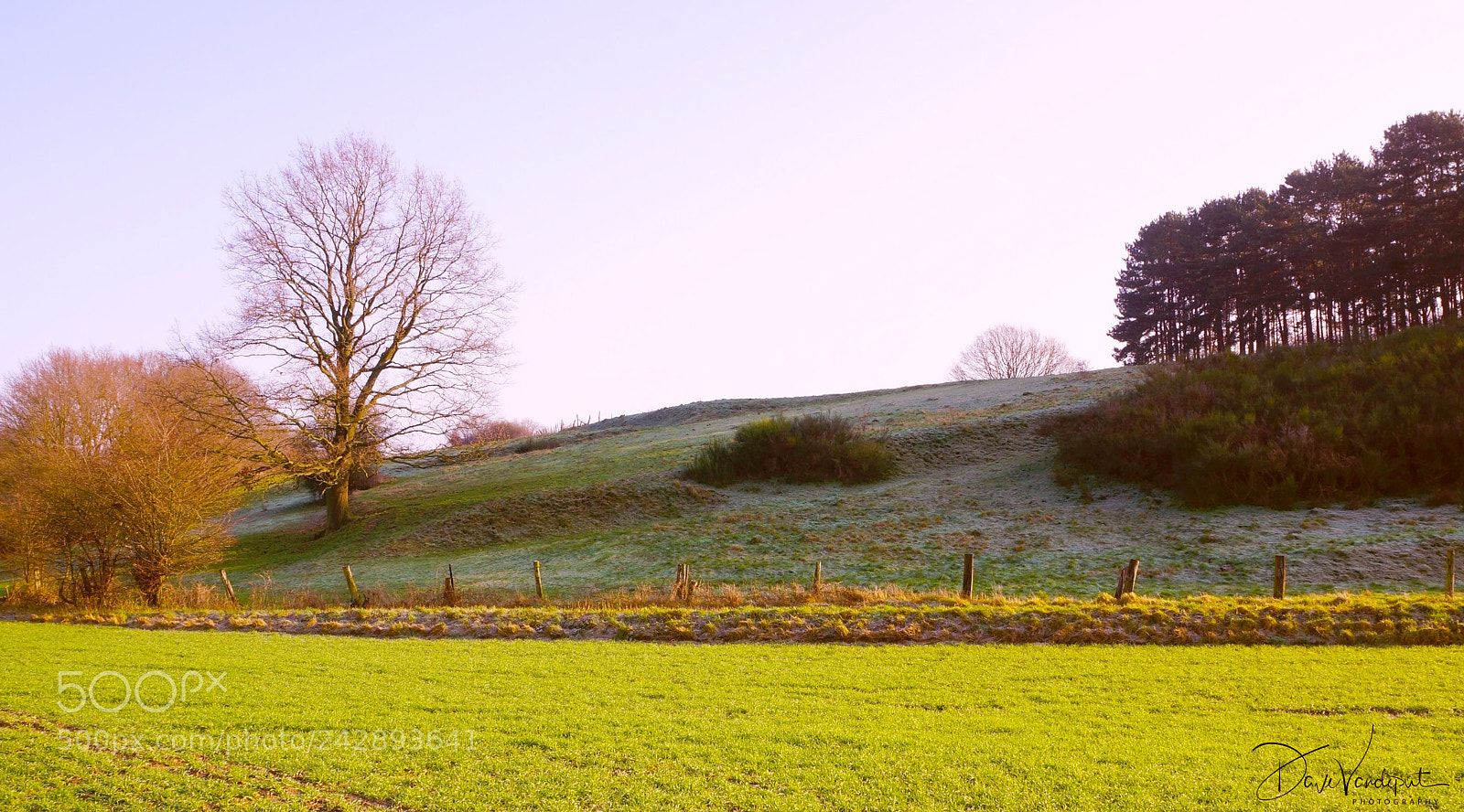 Sony SLT-A77 sample photo. Koeheide, bertem (be) photography