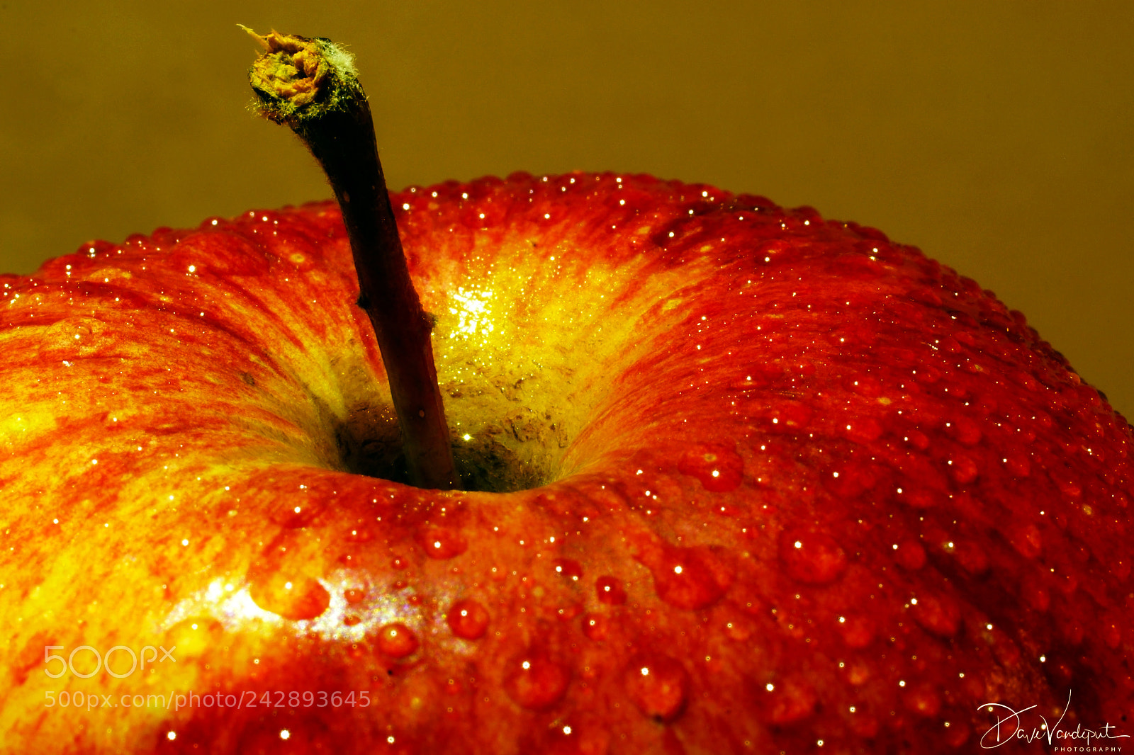 Sony SLT-A77 sample photo. Red 'n wet photography