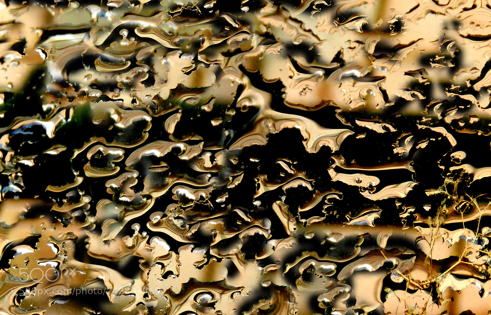 Nikon Coolpix P500 sample photo. Abstracts on wet glass 8 photography