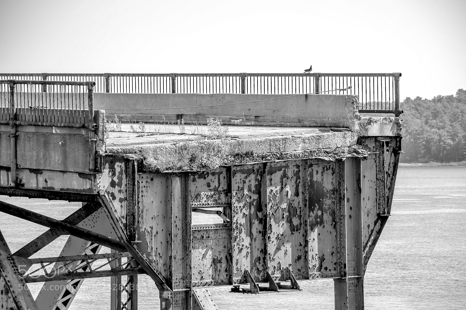 Nikon D3100 sample photo. The end. photography