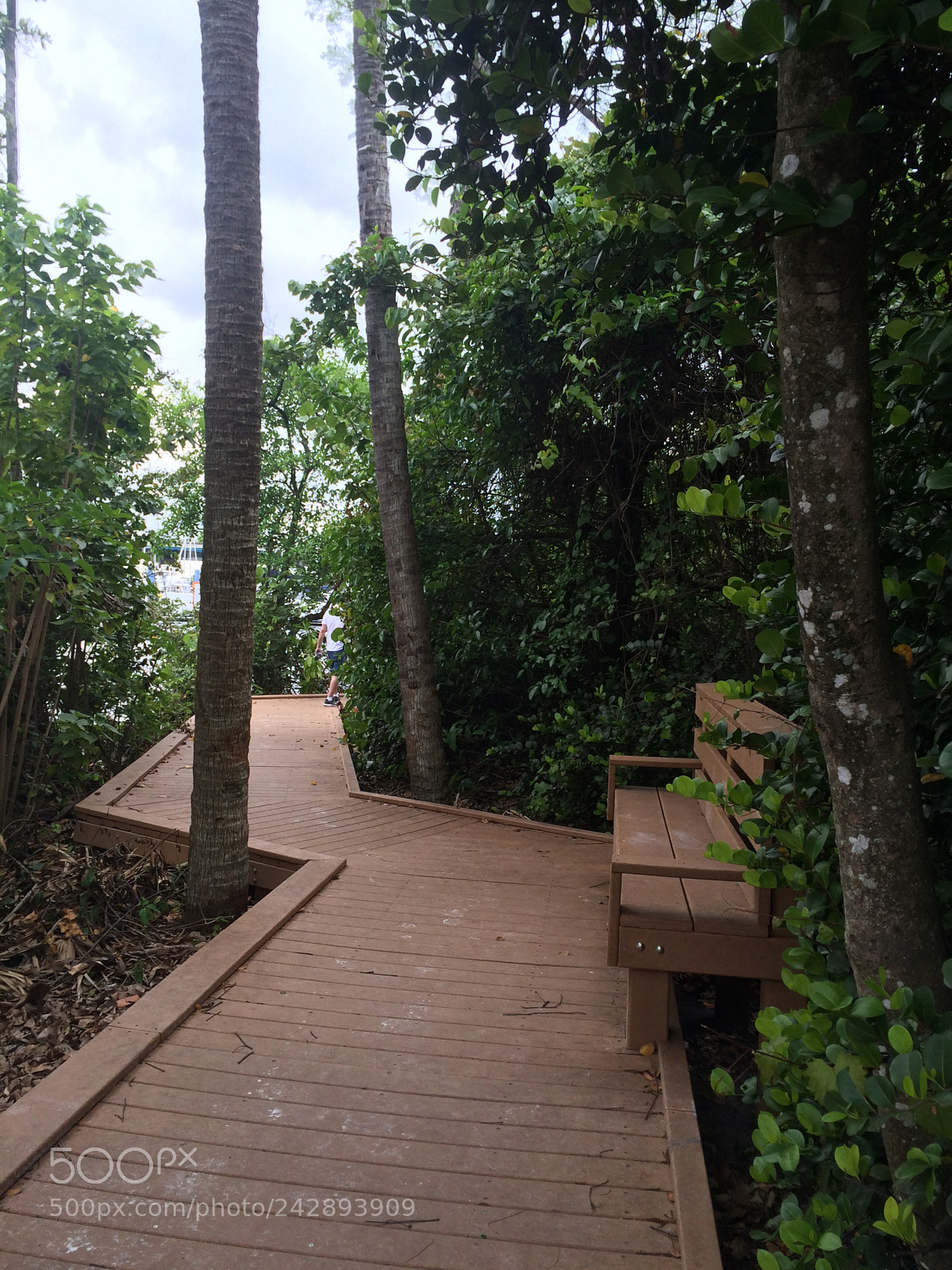 Apple iPhone 5s sample photo. Fort lauderdale, fl photography