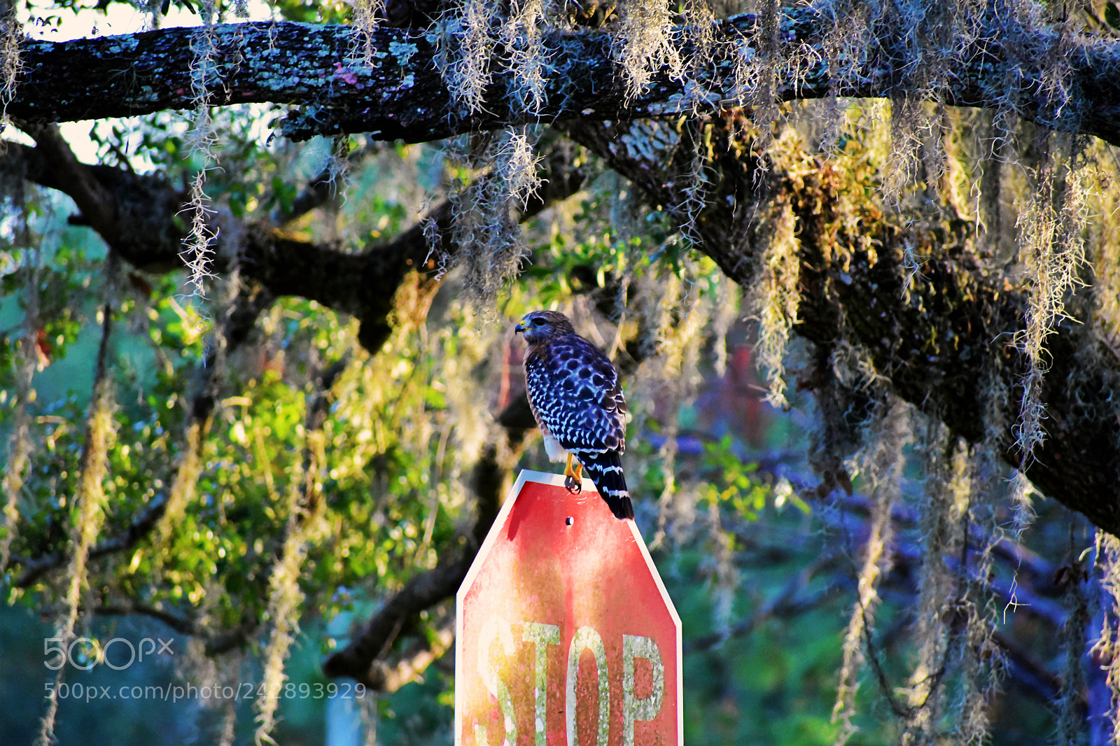 Nikon D3400 sample photo. Dsc photography
