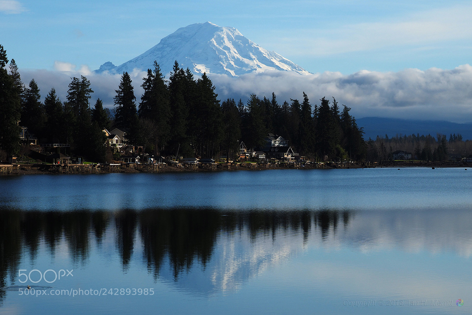 Olympus OM-D E-M1 sample photo. Mt. rainier reflecting in photography