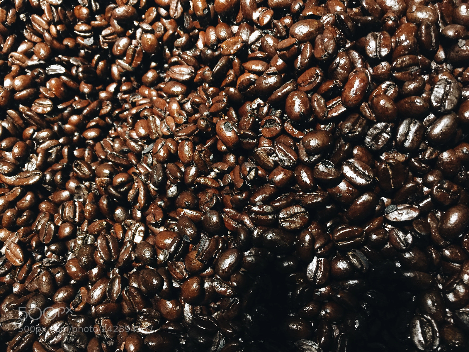 Apple iPhone 6 Plus sample photo. Fresh coffee beans from photography