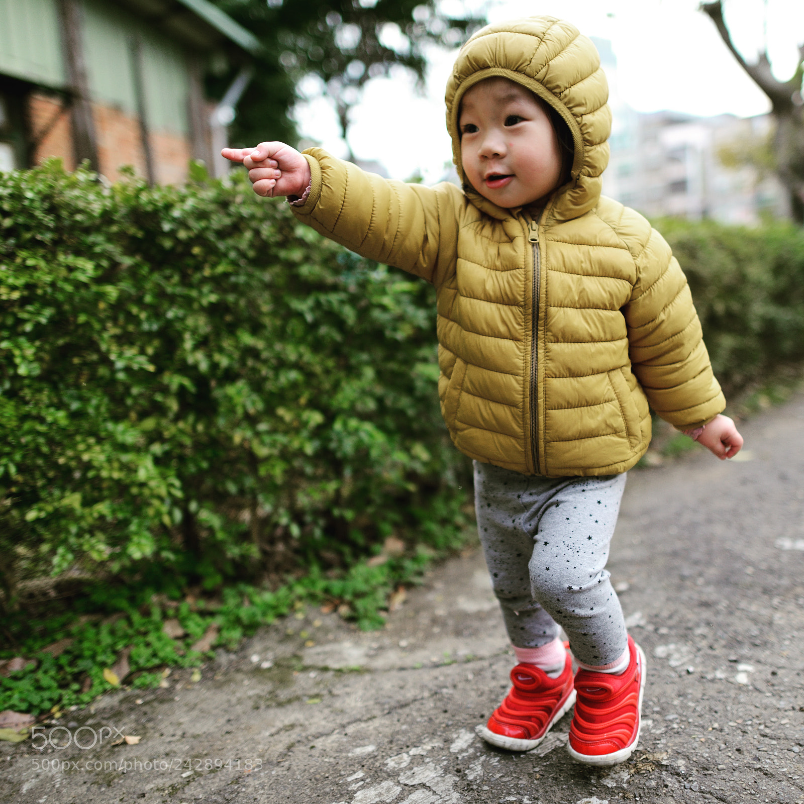Nikon D800 sample photo. Untitled photography