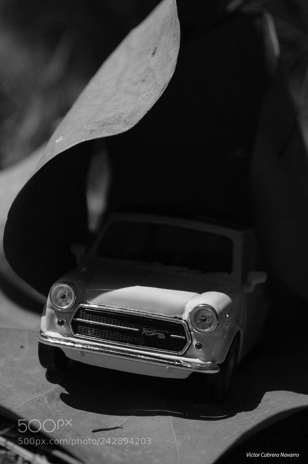 Nikon D3200 sample photo. Mini photography