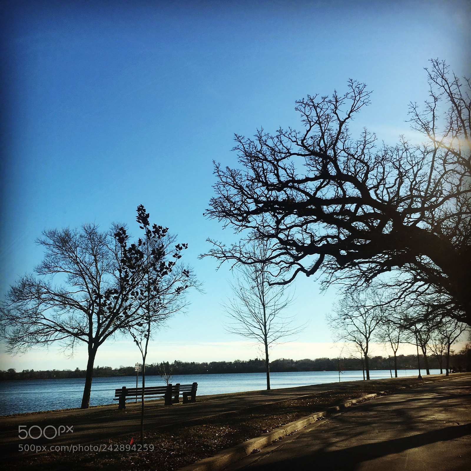 Apple iPhone 6s sample photo. Lake harriet photography
