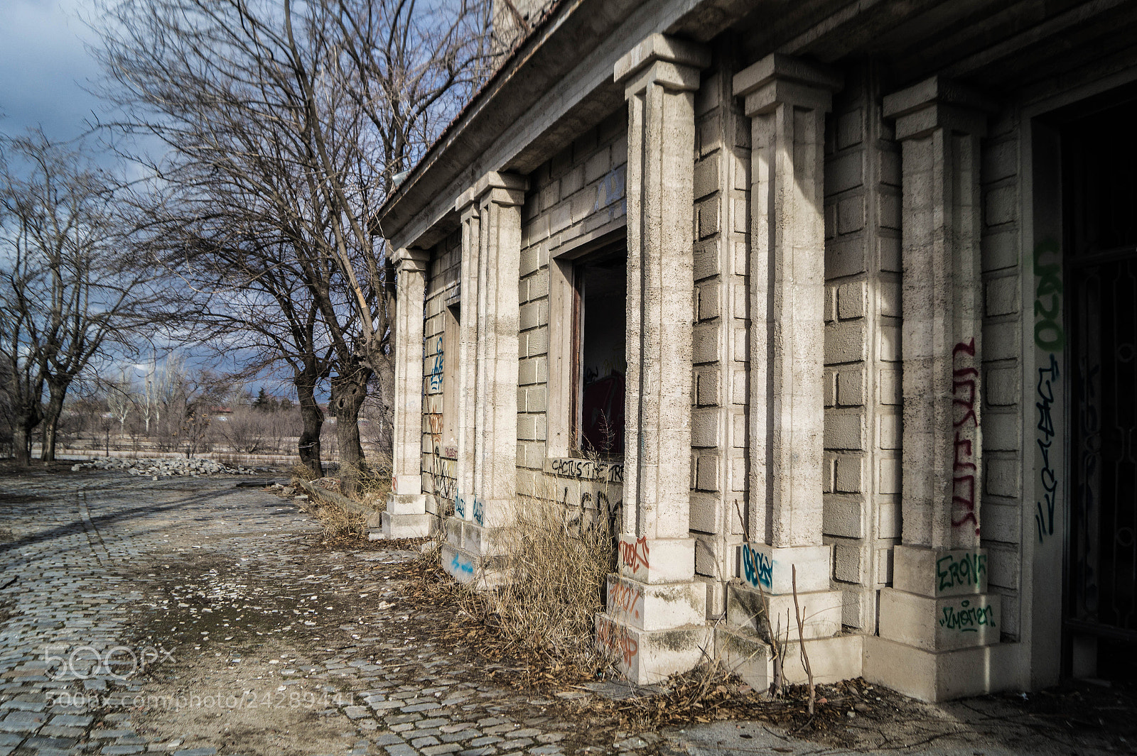 Sony SLT-A58 sample photo. O.l.d. photography