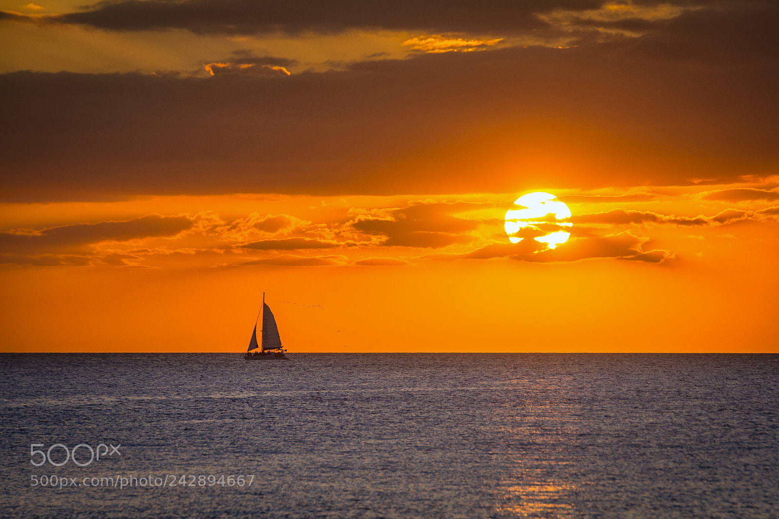 Canon EOS 60D sample photo. Sunset in flamingo beach photography