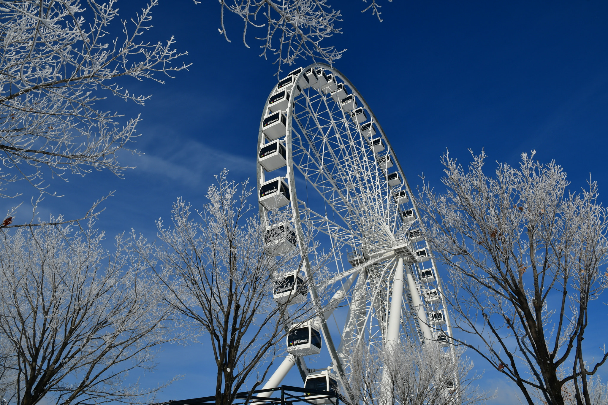 Nikon D7500 sample photo. Ferris-wheel in frosting  photography
