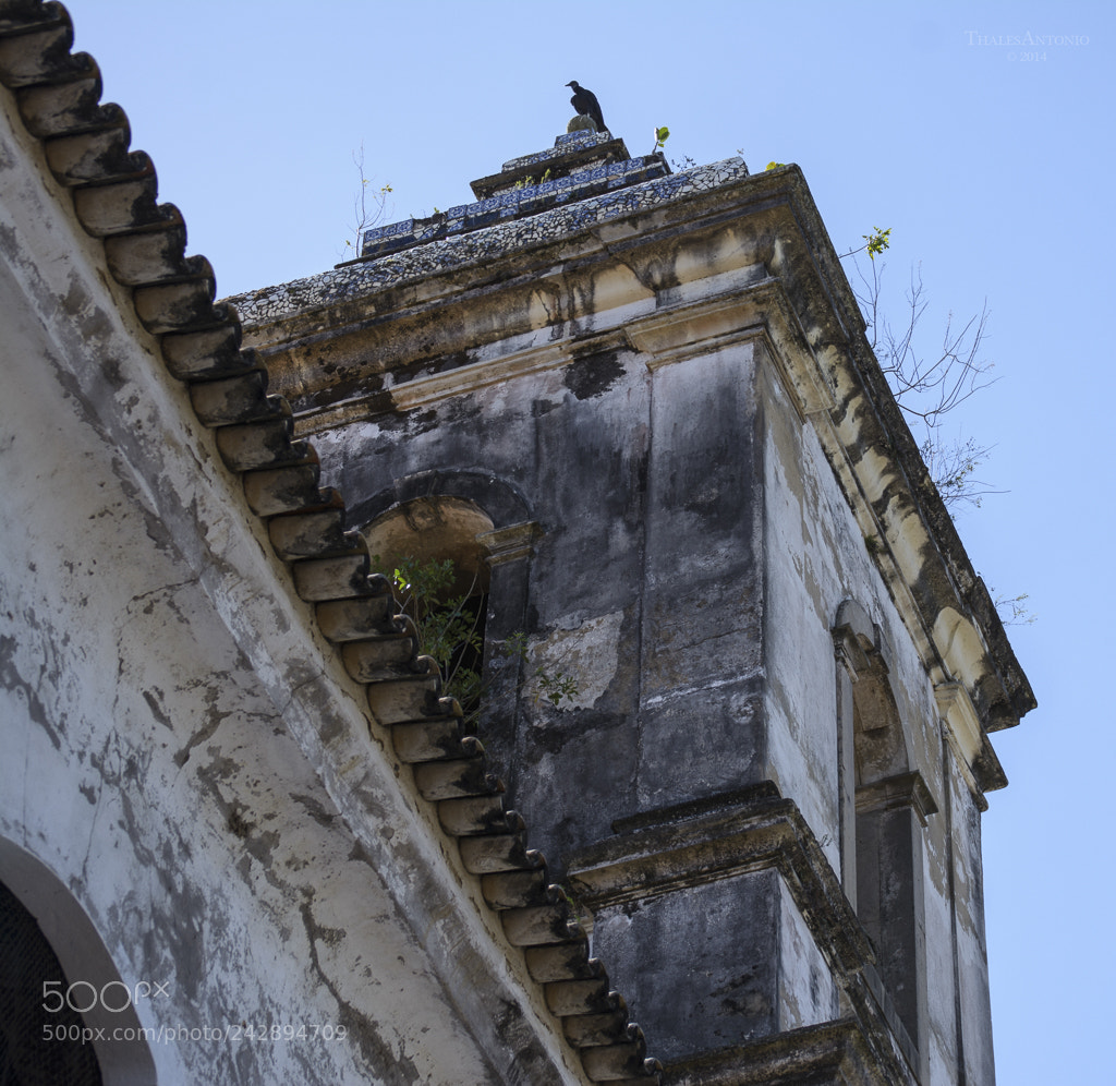 Nikon D7100 sample photo. Santiago do iguape photography
