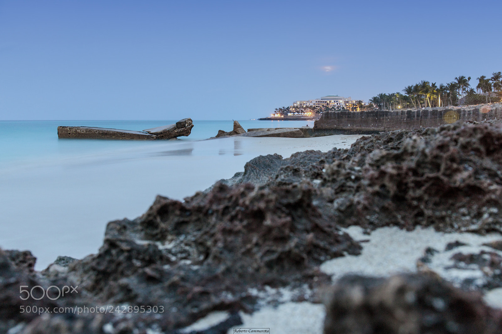 Canon EOS 6D Mark II sample photo. Silent photography