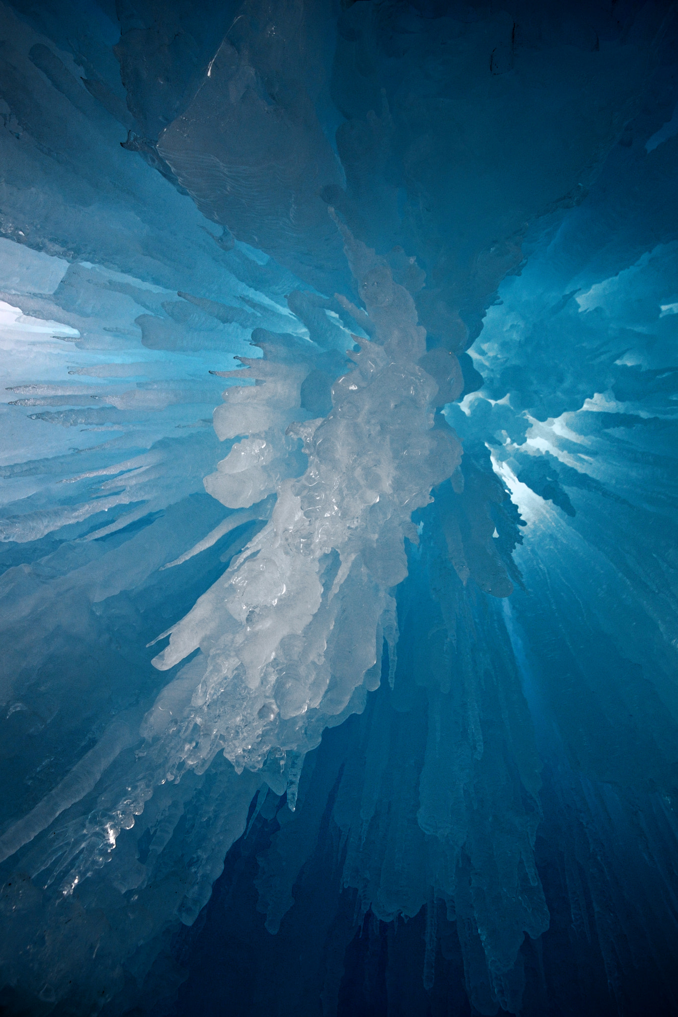 Nikon D610 sample photo. Under the ice photography
