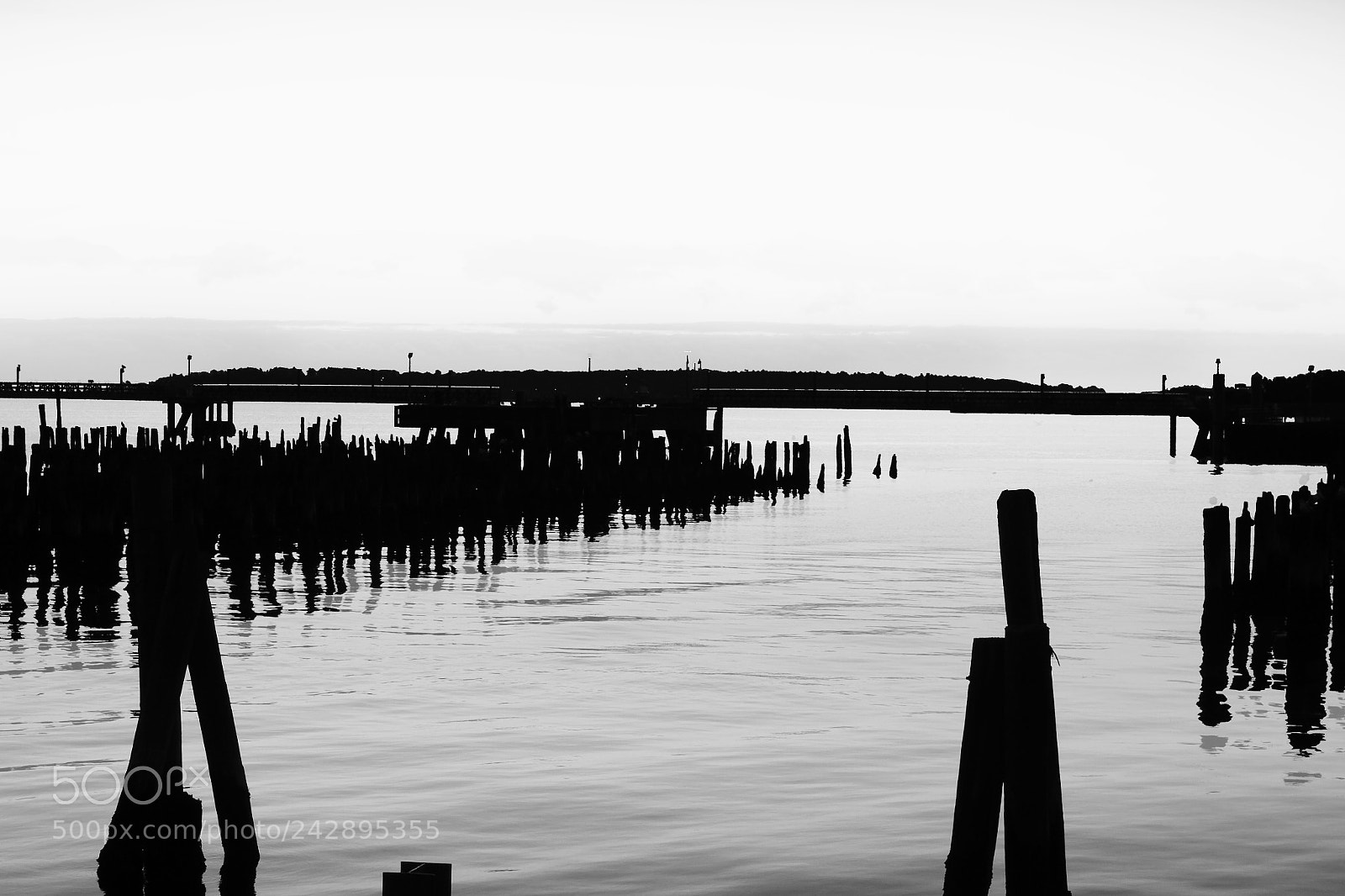 Olympus OM-D E-M10 II sample photo. Drifter photography
