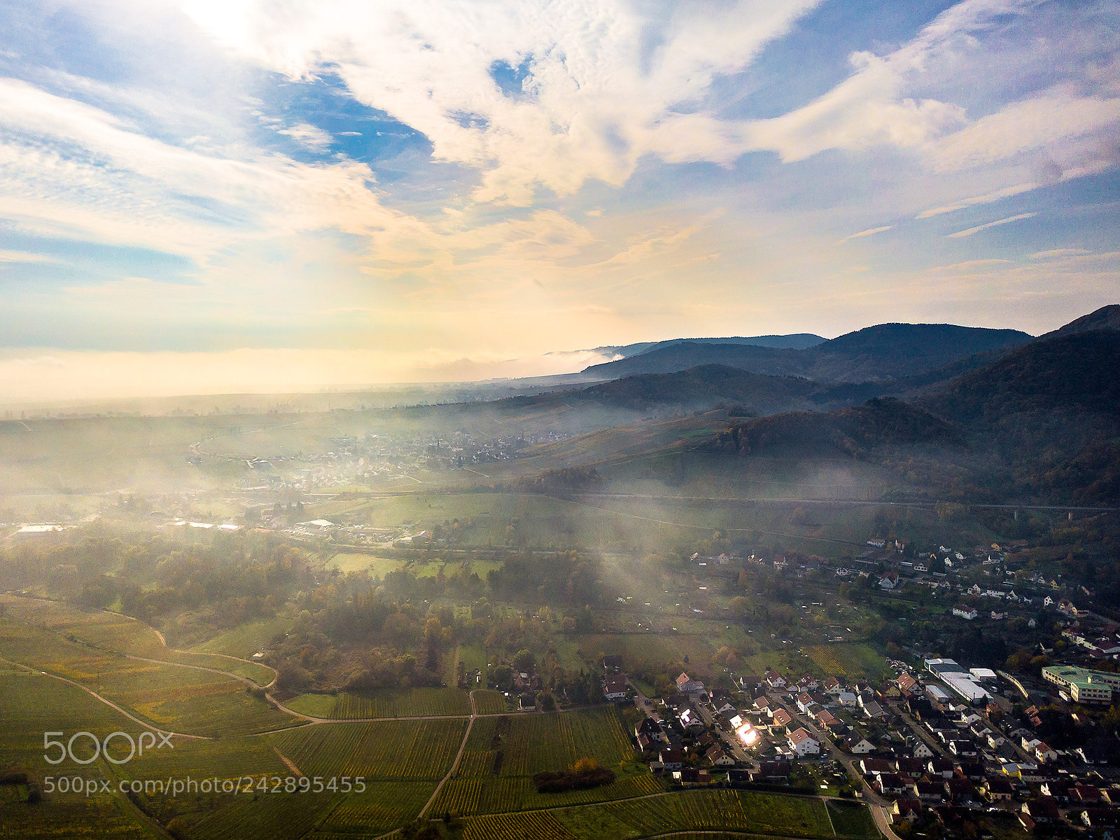 DJI FC220 sample photo. In the mist photography