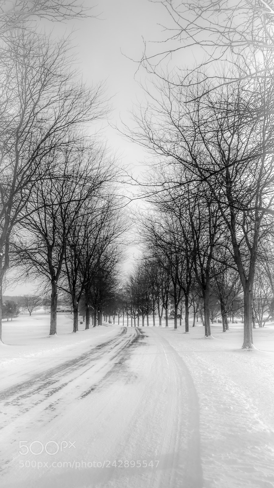 Canon EOS 750D (EOS Rebel T6i / EOS Kiss X8i) sample photo. Winter drive photography