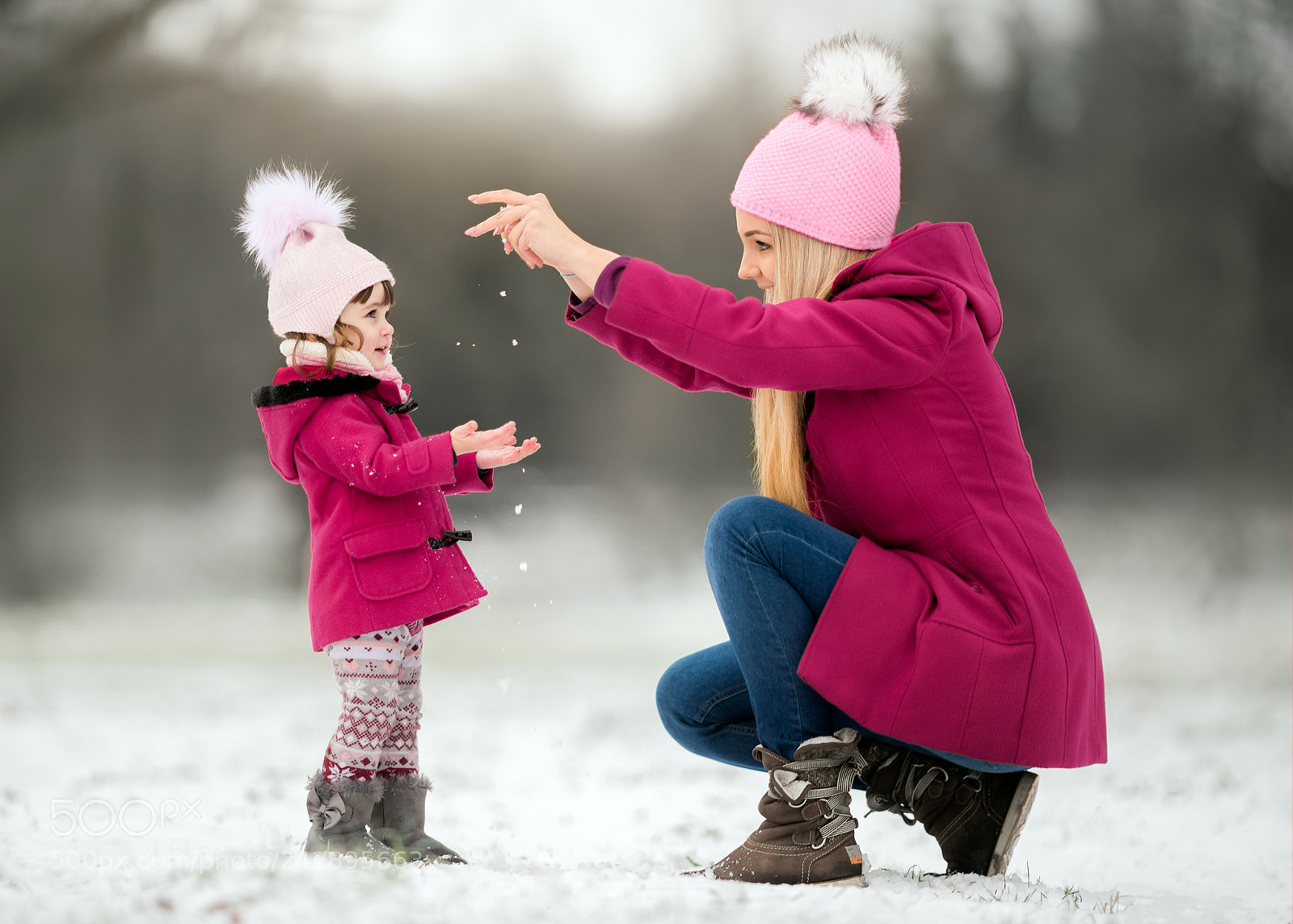 Nikon D810 sample photo. Sprinkle of winter love photography