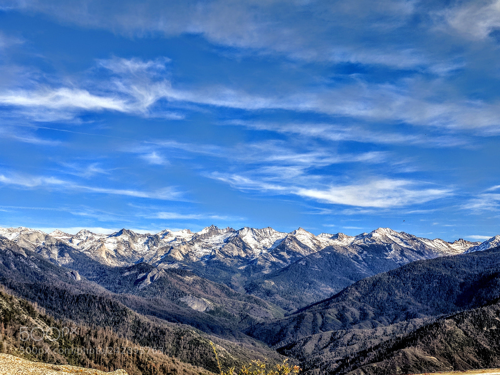 Google Pixel sample photo. Sequoia photography