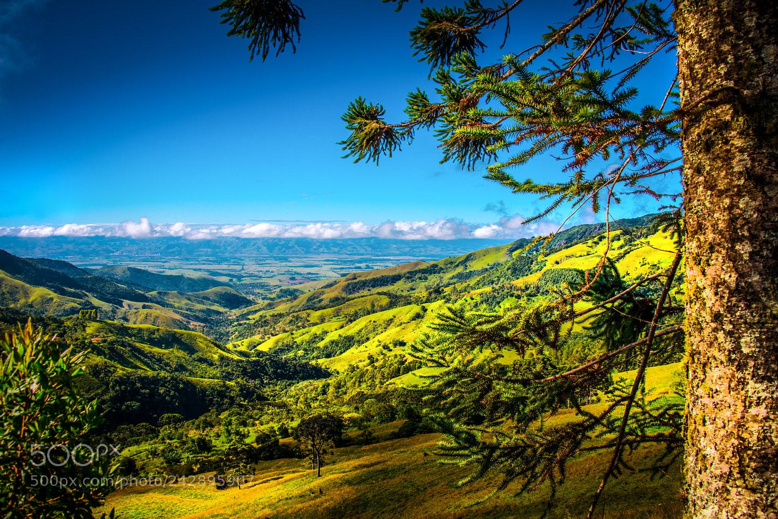 Nikon D800 sample photo. Valley photography