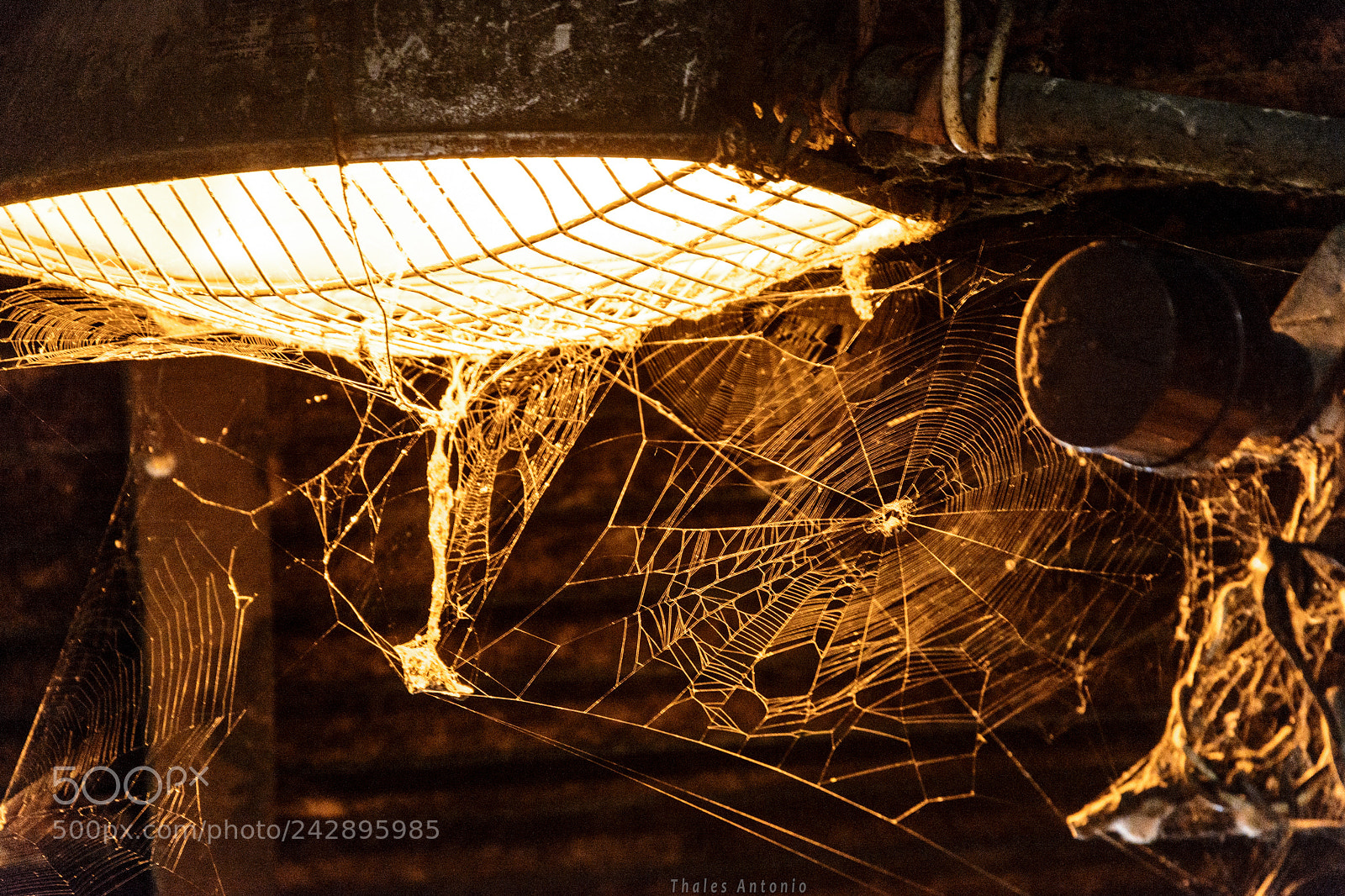 Nikon D7100 sample photo. Feira de s o photography
