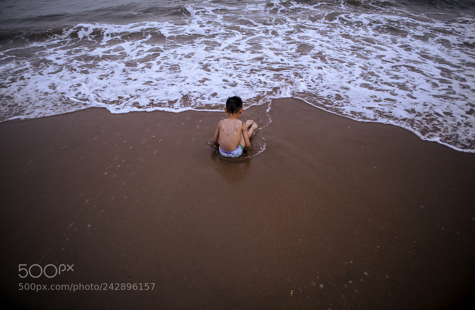 Nikon D800E sample photo. Juvenile and sea photography
