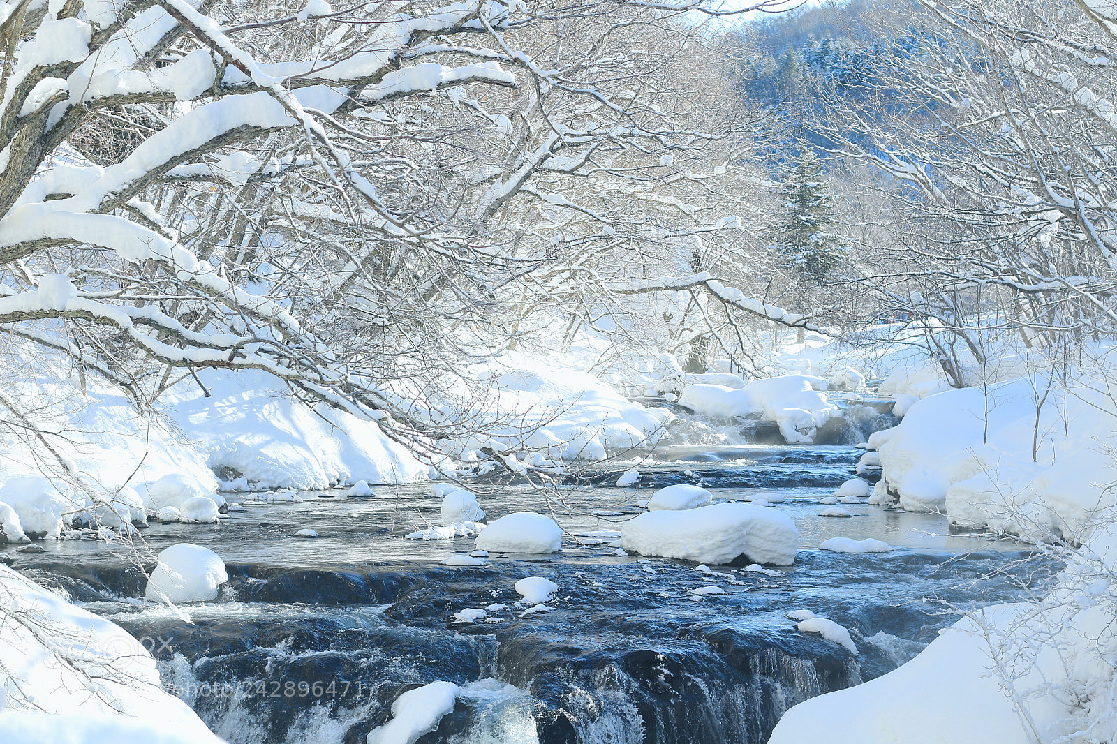 Canon EOS 700D (EOS Rebel T5i / EOS Kiss X7i) sample photo. Sangaidaki photography