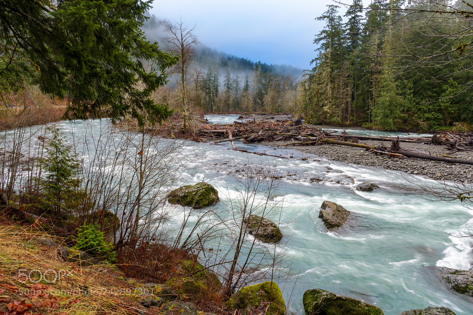 Nikon D500 sample photo. Elwha river, olympic national photography