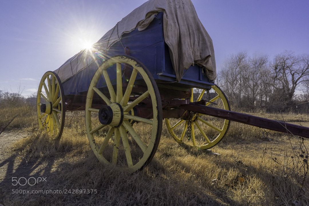 Sony a7R sample photo. Supplies photography