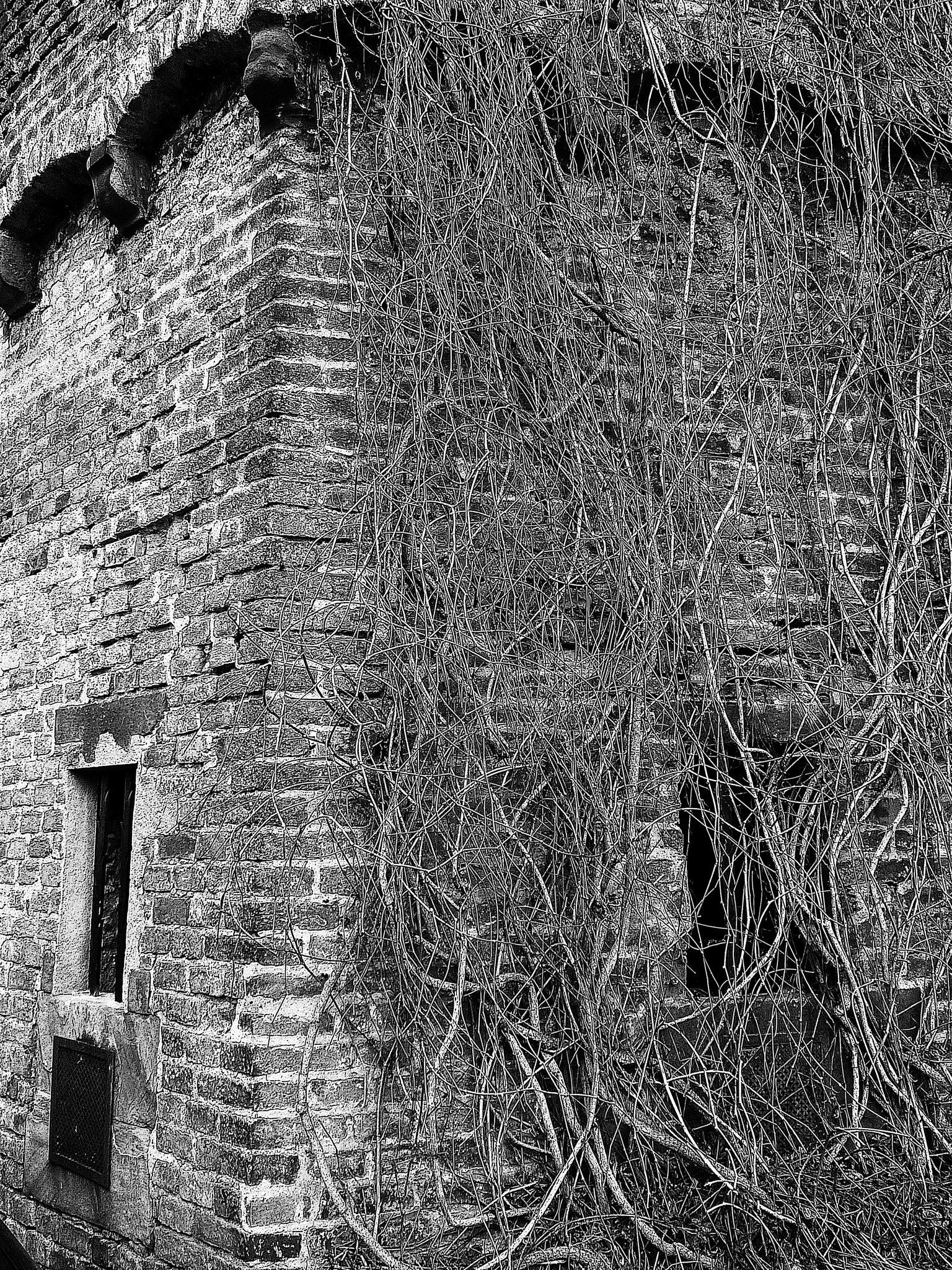 Leica V-Lux 20 sample photo. On the wall. photography