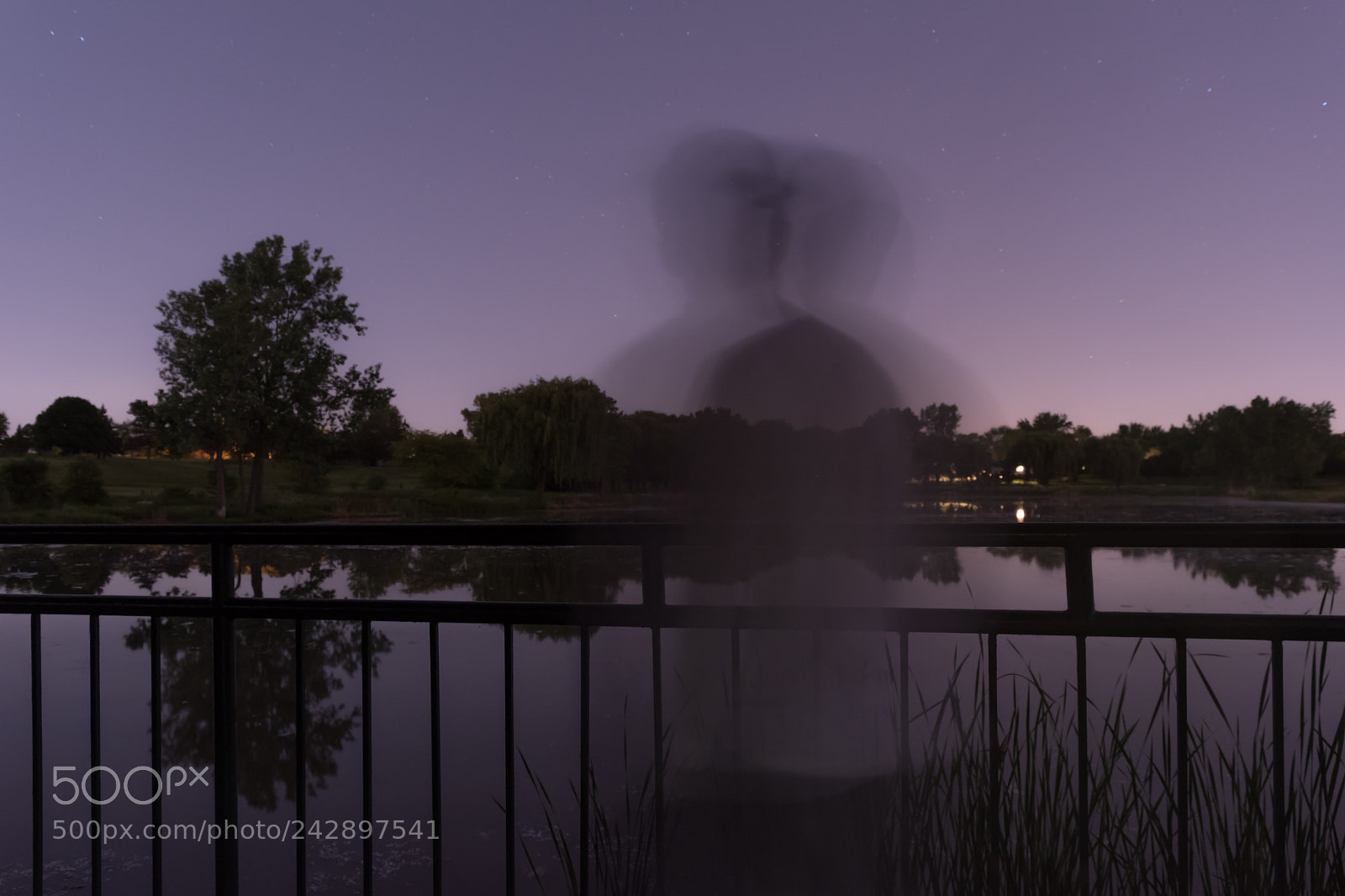 Nikon D5500 sample photo. Purple haze photography