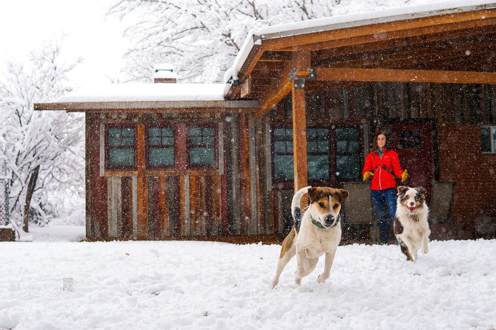 Sony a6500 sample photo. Snow adventure photography