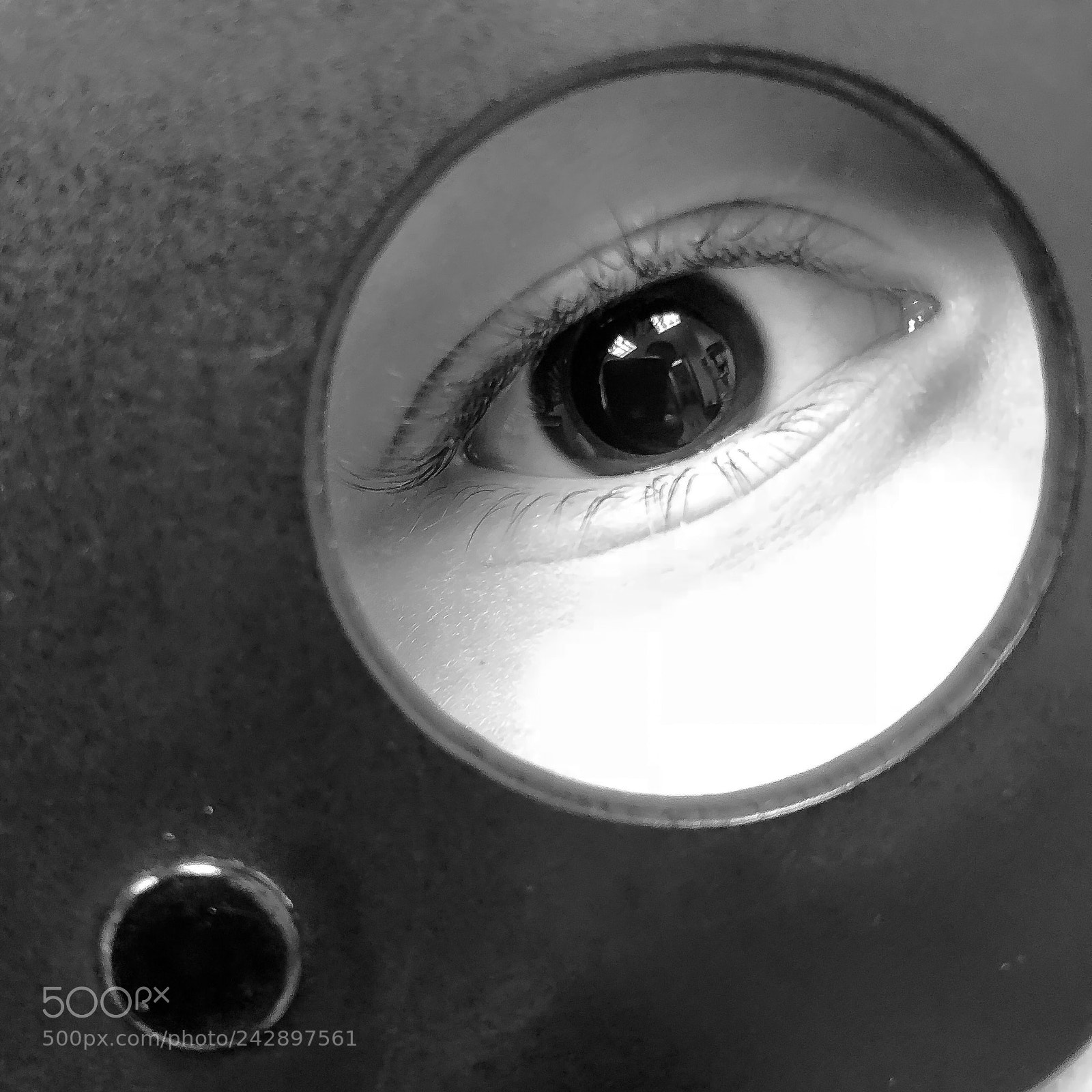 Apple iPhone 8 Plus sample photo. “i see you!”...?? photography