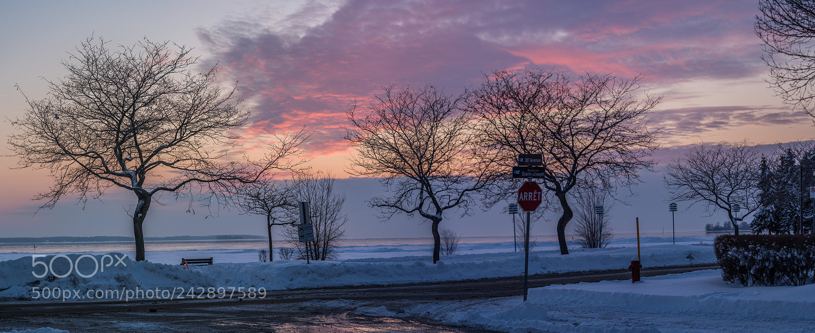 Sony a7R III sample photo. Winter season in lachine,qc photography