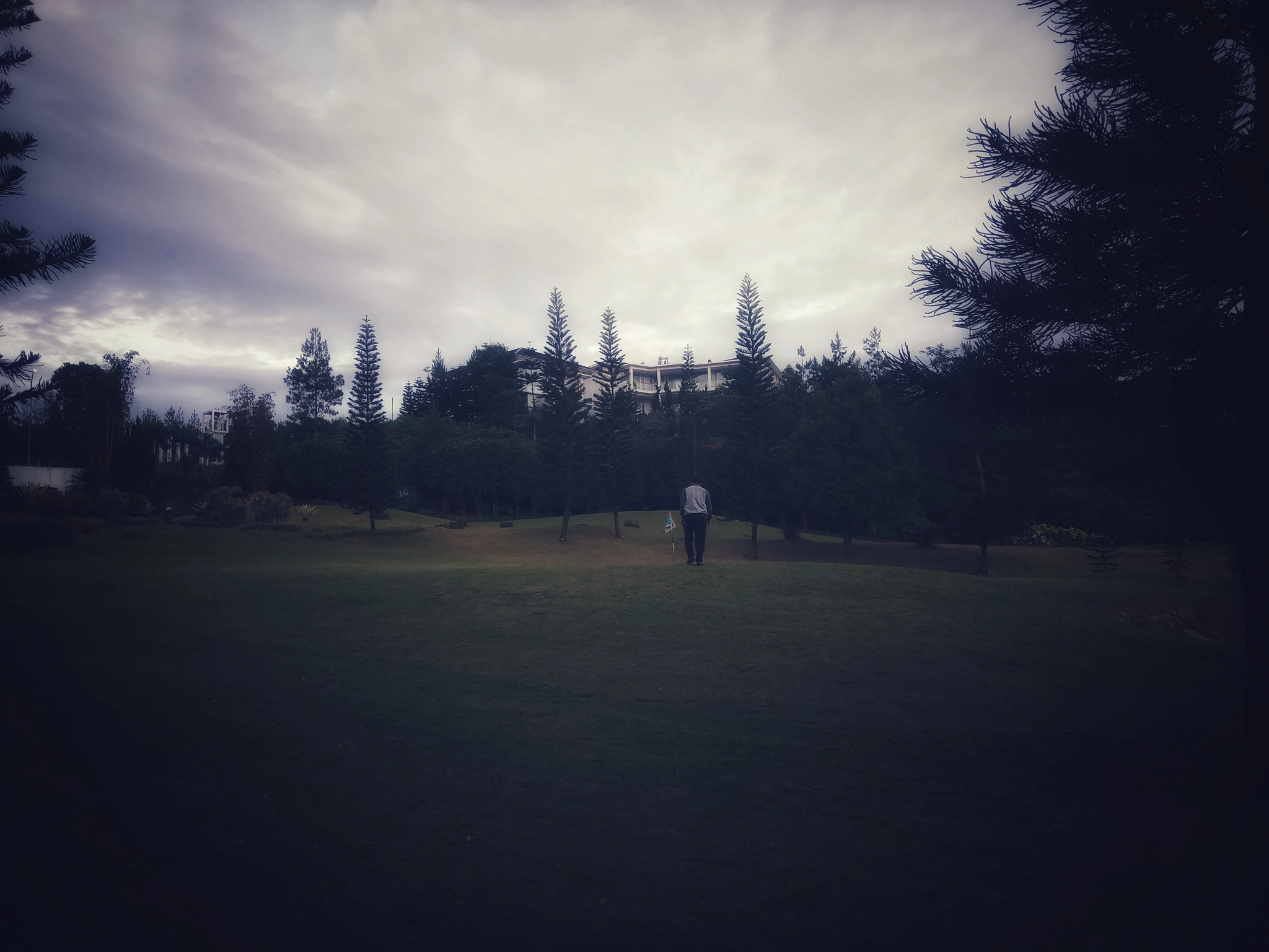 Xiaomi Redmi Pro sample photo